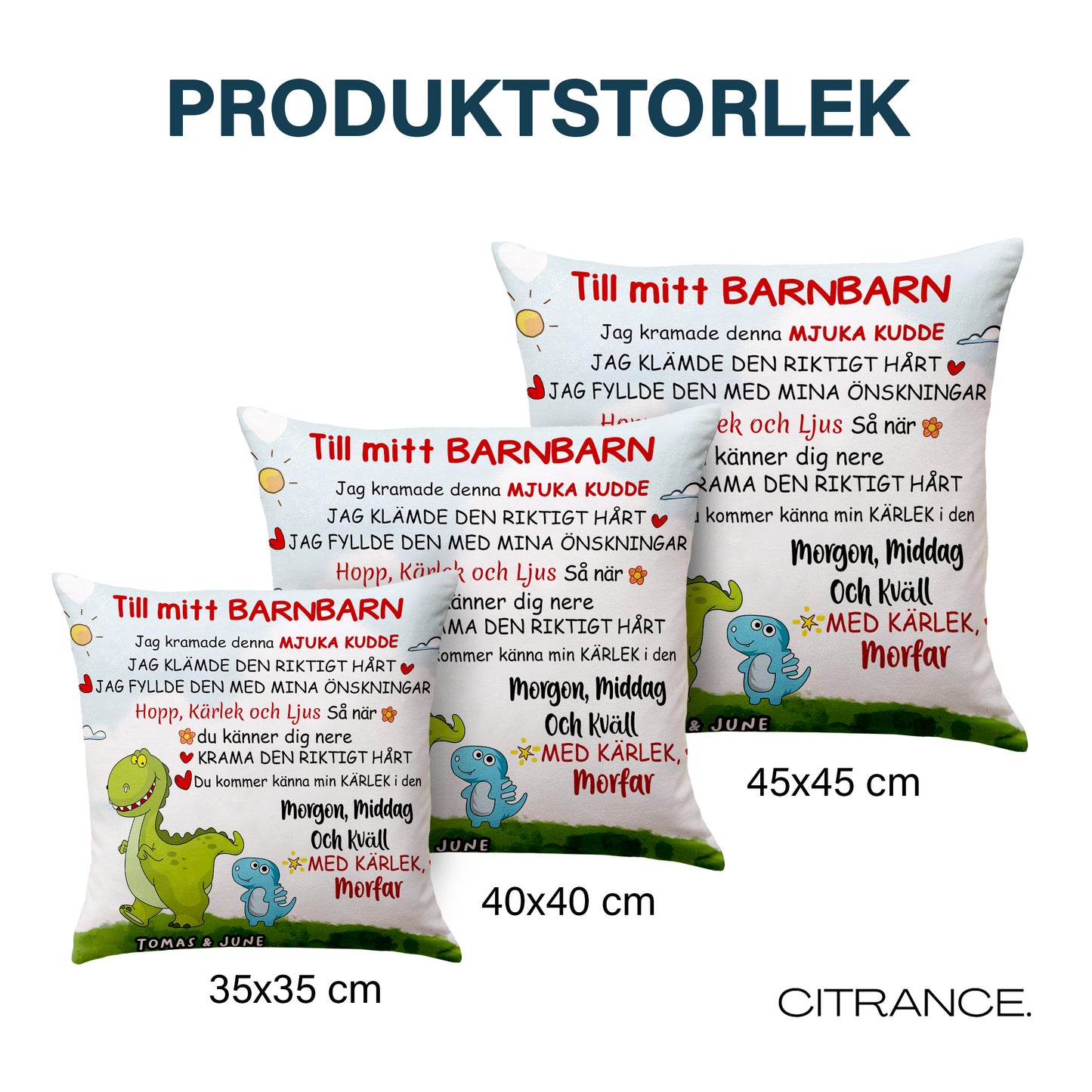 Till mitt barnbarn - Personlig Premiumkudde med Dinosaurietema™